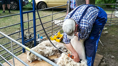 Foto 18 zu Grosser Bauern- und Handwerkermarkt am Heimathaus - Mittw. 24. Juni 2026