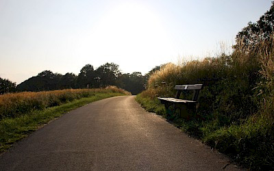 Lerchenroute