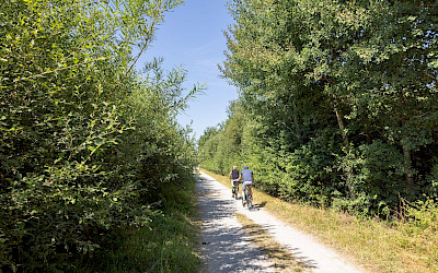 Vennroute