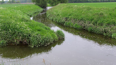 Foto 1 zu Bächeroute