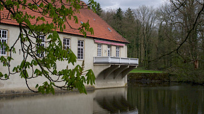 Foto 3 zu Waldroute