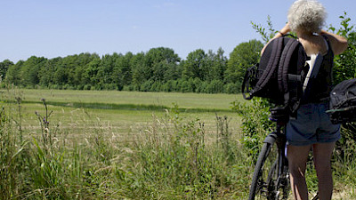 Foto 1 zu Brachvogelroute