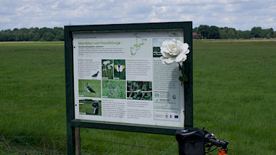 Foto 1 zu Heckenroute